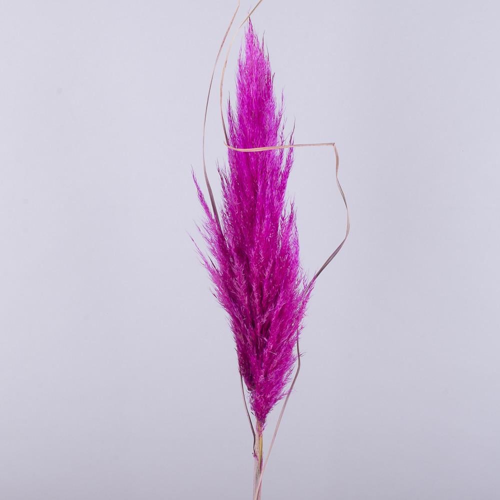 Ветки Пампас для декора (5139-4)