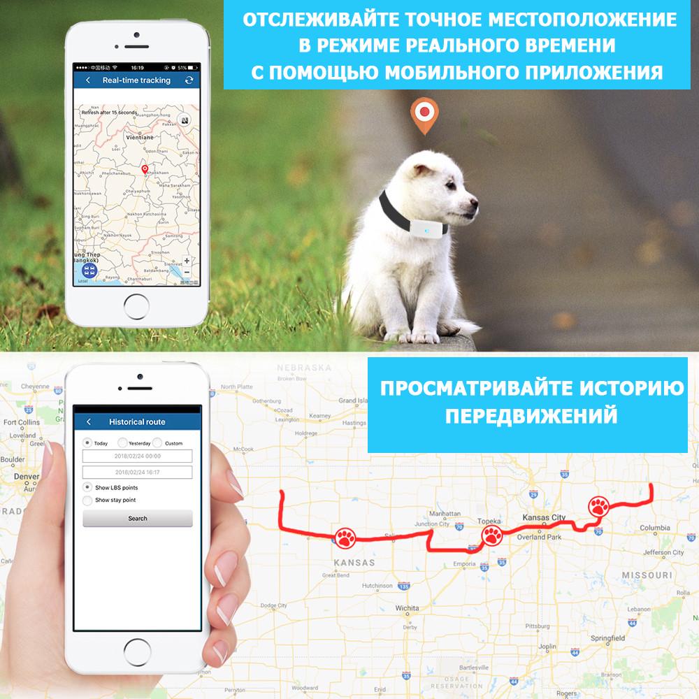 ᐉ Ошейник з GPS трекером TK-STAR TK911 для собак и кошек IP66 (10069208) •  Купить в Киеве, Украине • Лучшая цена в Эпицентр