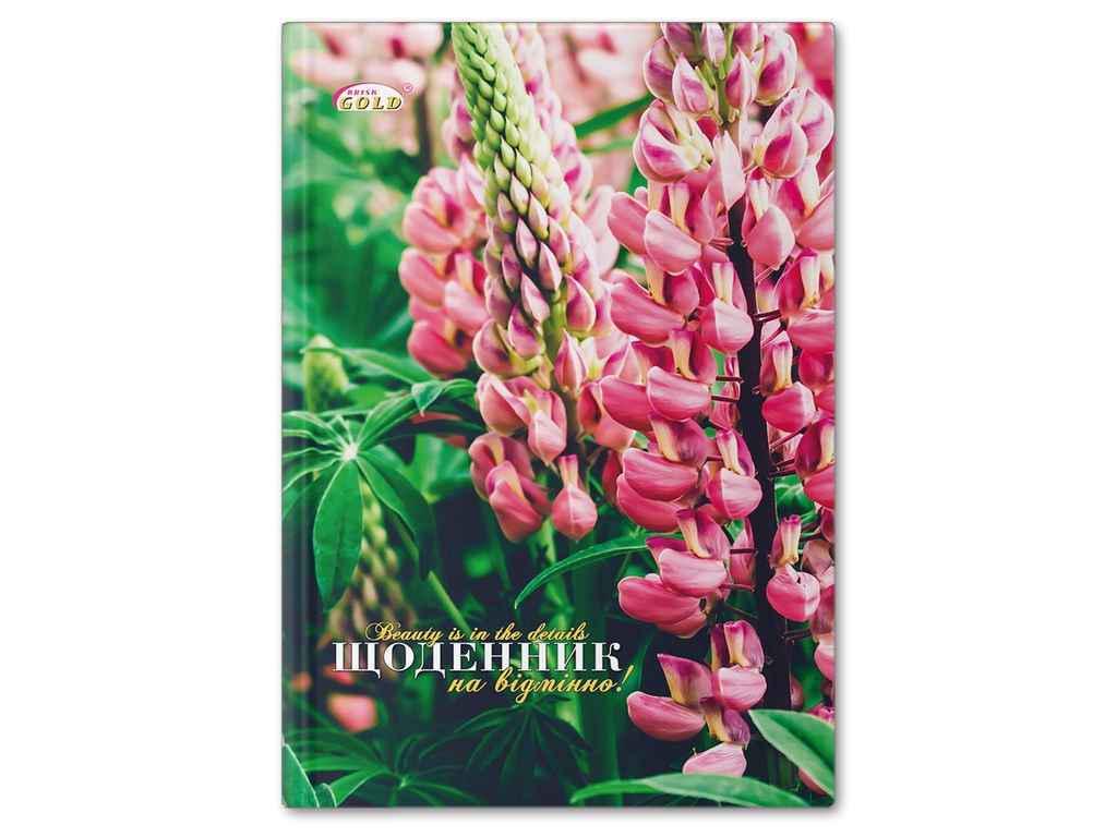 Дневник Gold Brisk УВ-25-Т 72031 (935637)