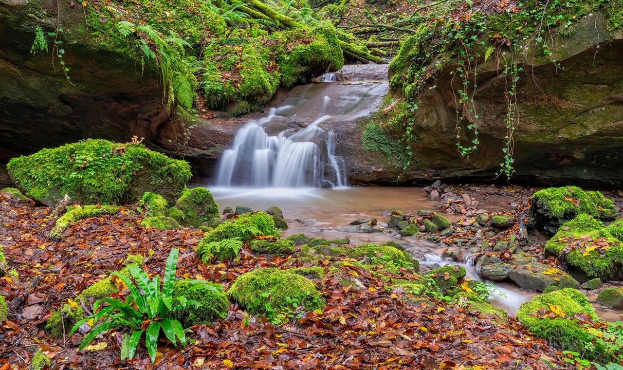 Картина на полотні Природа 30х40 см (PR438)