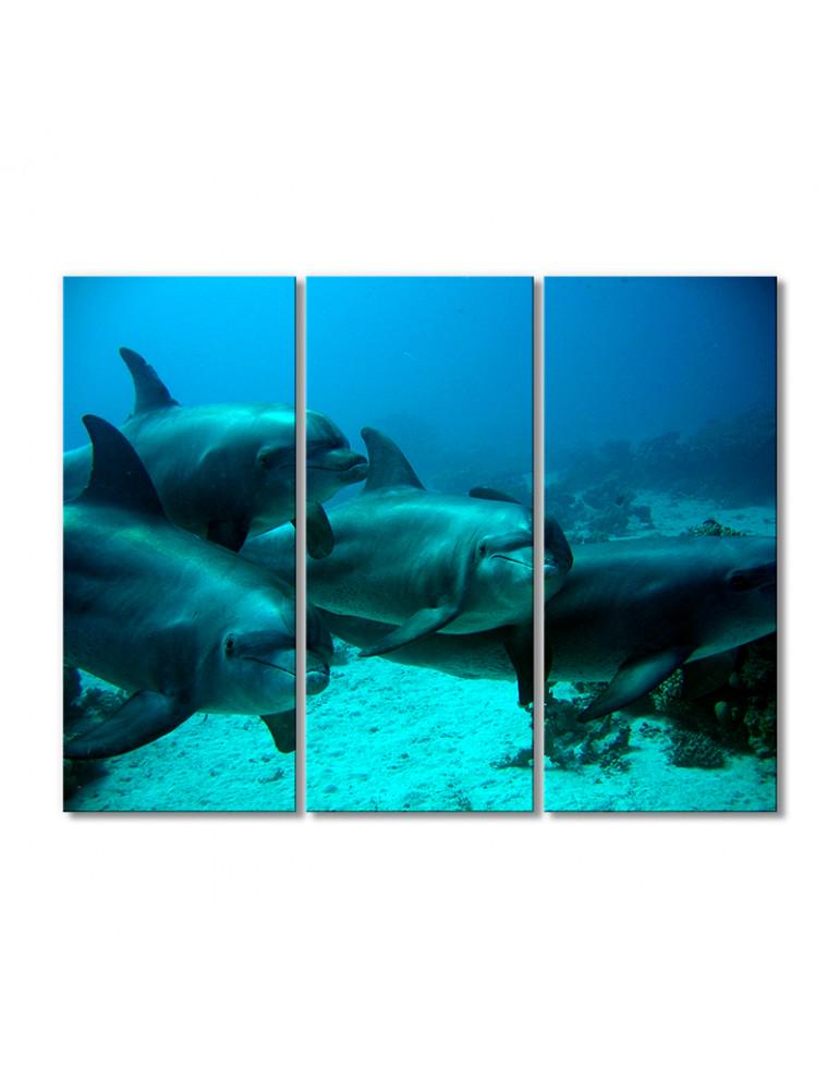 Картина модульная Семейство дельфинов 3 модуля 50x75 см