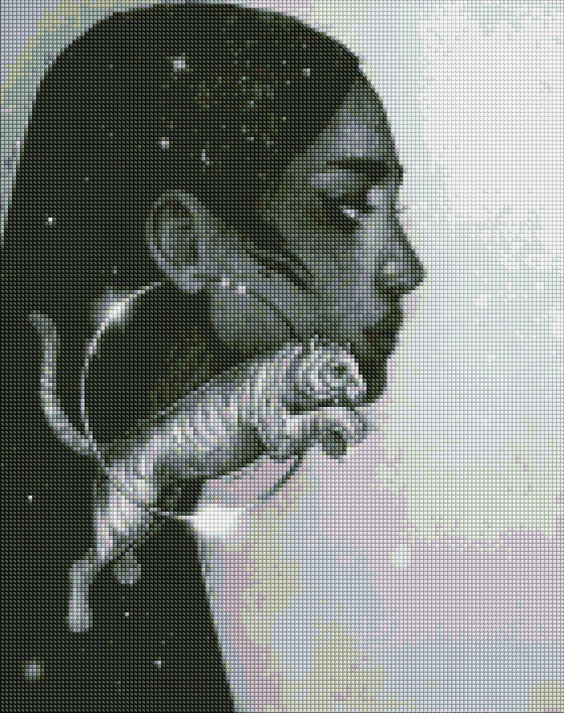 Картина по номерам Ideyka Созвездие тигра бриллиантовая вышивка мозаика 40x50 см (VM-127-A-27)