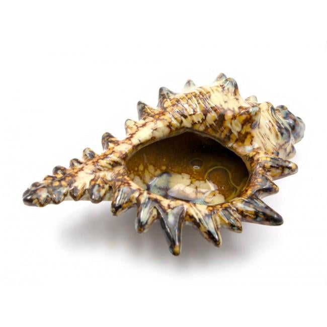 Попільничка Мушля Seawood 16,5х11х5,5 см (24653)