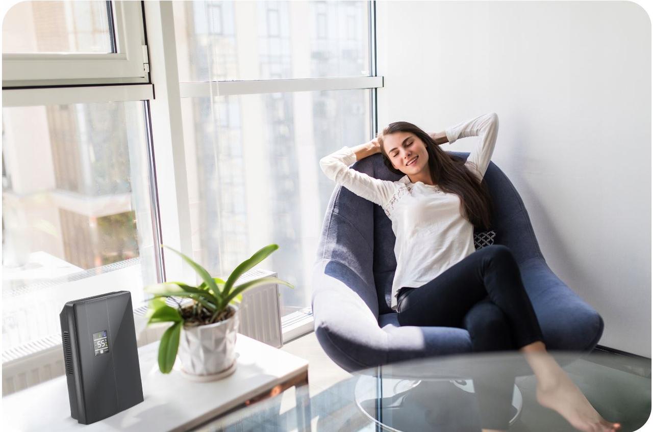 Осушитель воздуха Berdsen BR-20D (25397243) - фото 10 Осушитель воздуха Berdsen BR-20D (25397243) - фото 10