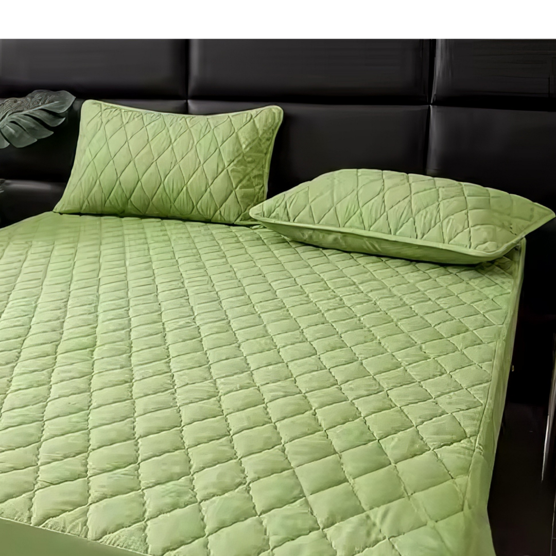 Простынь на резинке и 2 наволочки 200х220 см Салатовый (FS_200_220_Green)