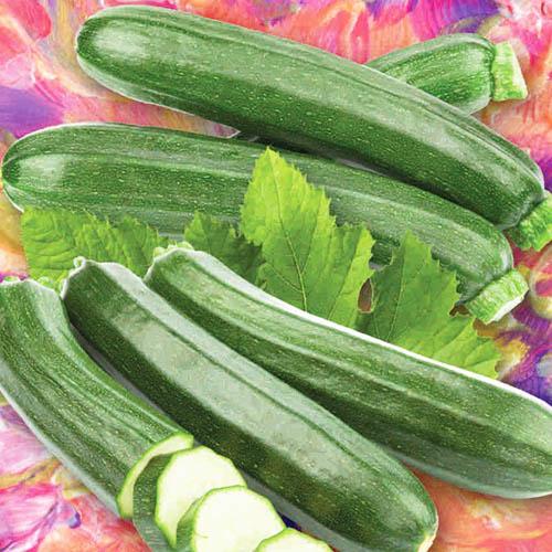 Семена Кабачок Florium Чорна магія (17564)