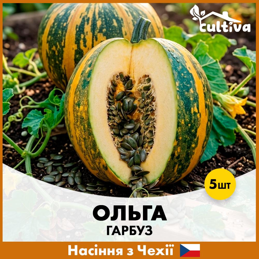 Семена тыквы Moravoseed Ольга 5 шт. (R51200)