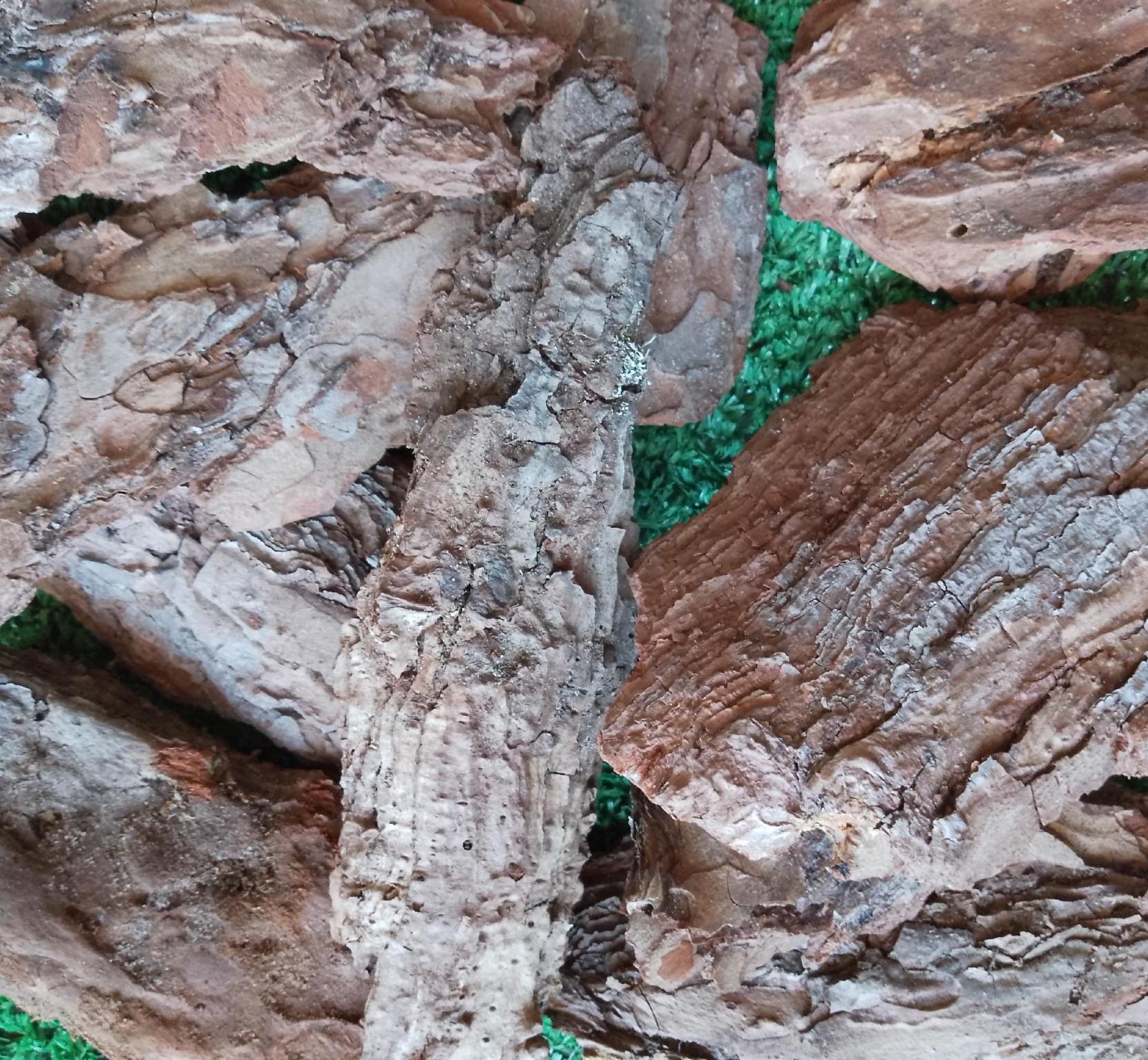 Кора сосновая декоративная крупная 80-130 мм 50 л (30467216) - фото 2 Кора сосновая декоративная крупная 80-130 мм 50 л (30467216) - фото 2