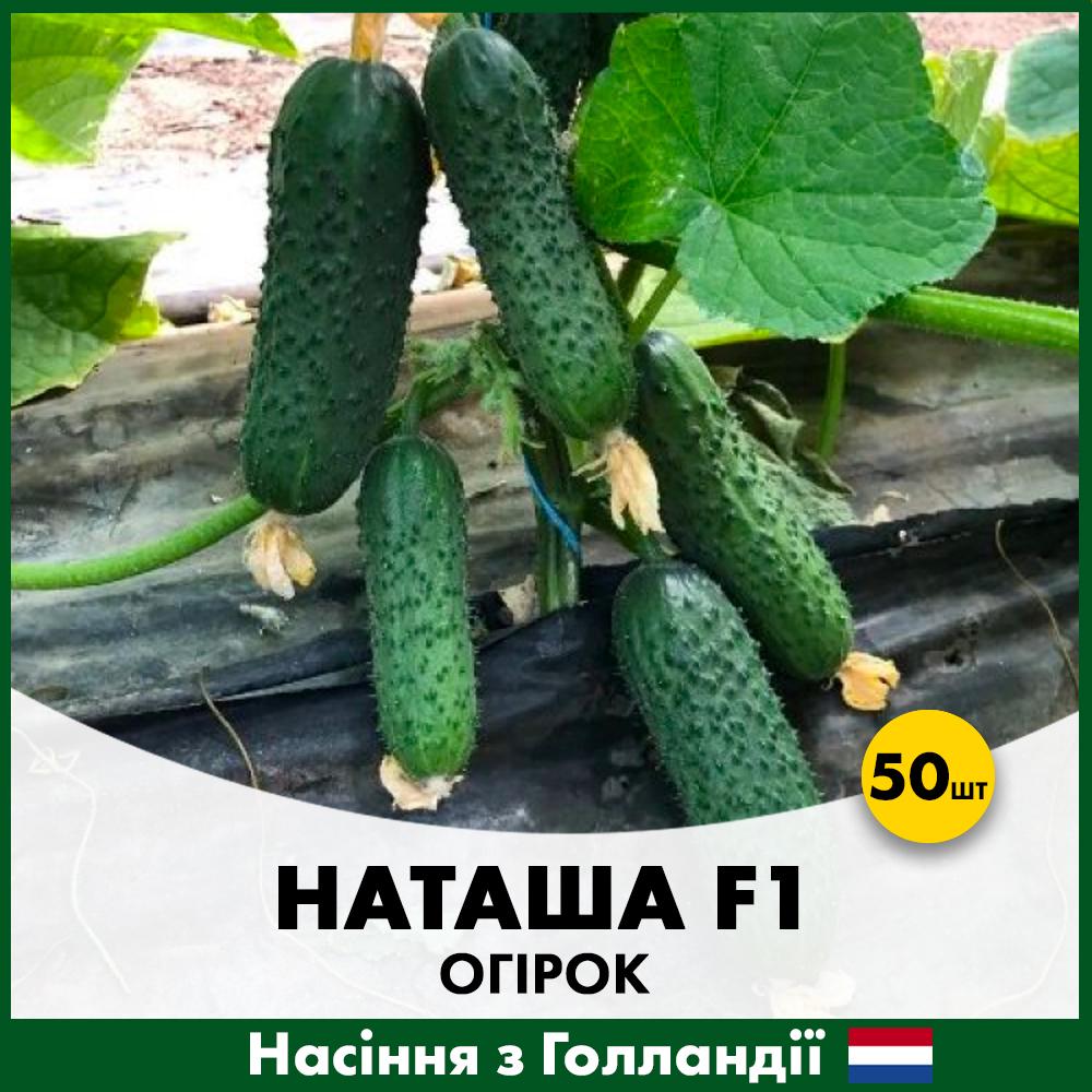 Насіння огірка Seminis Наташа F1 50 шт. (0016650)
