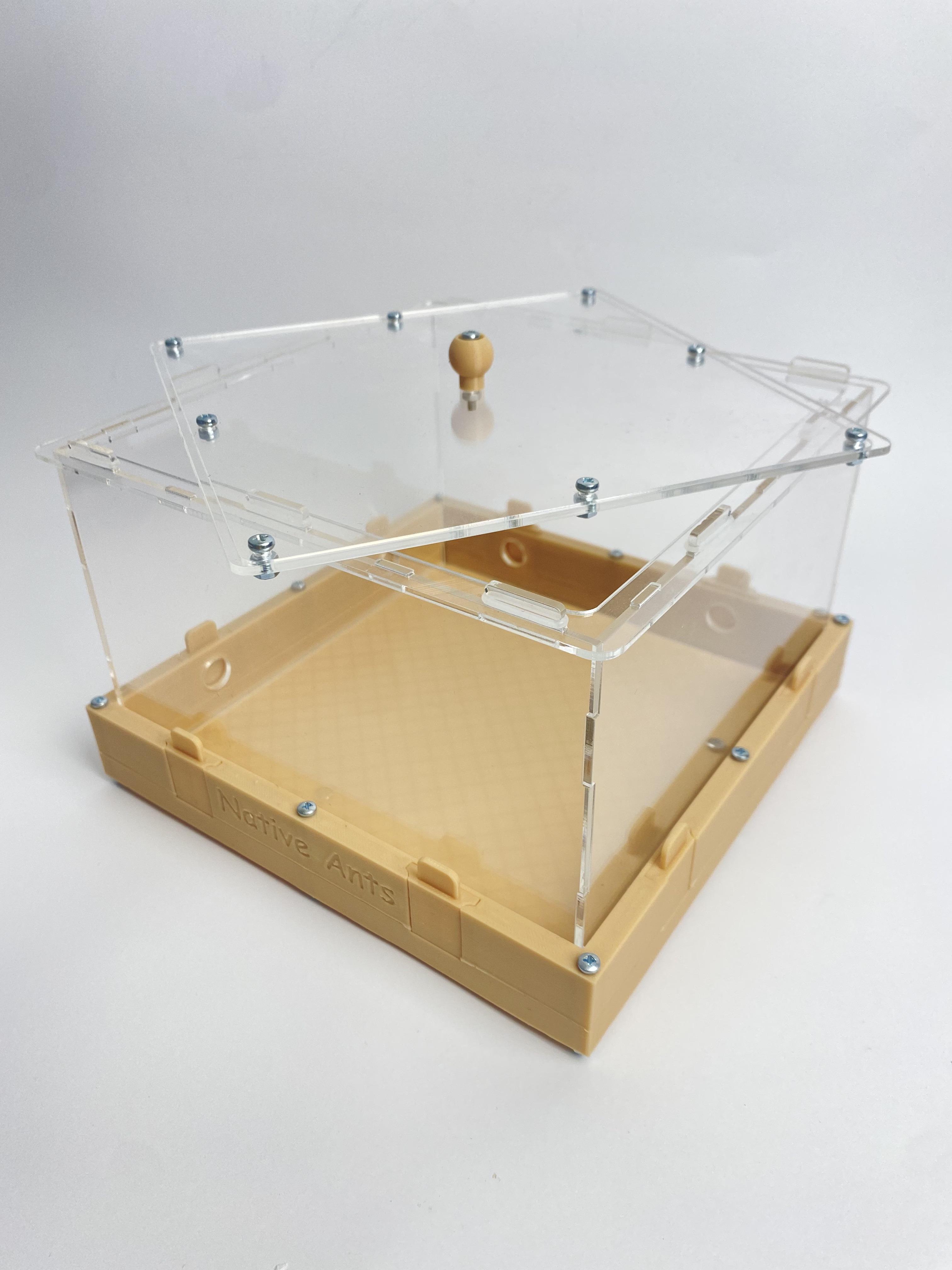 Арена модульная для муравьиной фермы 20х20 см Бежевый (2681861796)