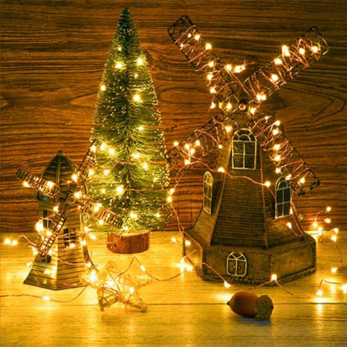 Гирлянда нить на батарейках Роса с пробкой 10LED тепло-белый свет - фото 4