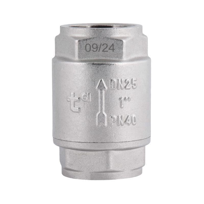 Обратный клапан Thermo Alliance Forte TAF240W25 1"ВВ с латунным штоком (SD00053353)