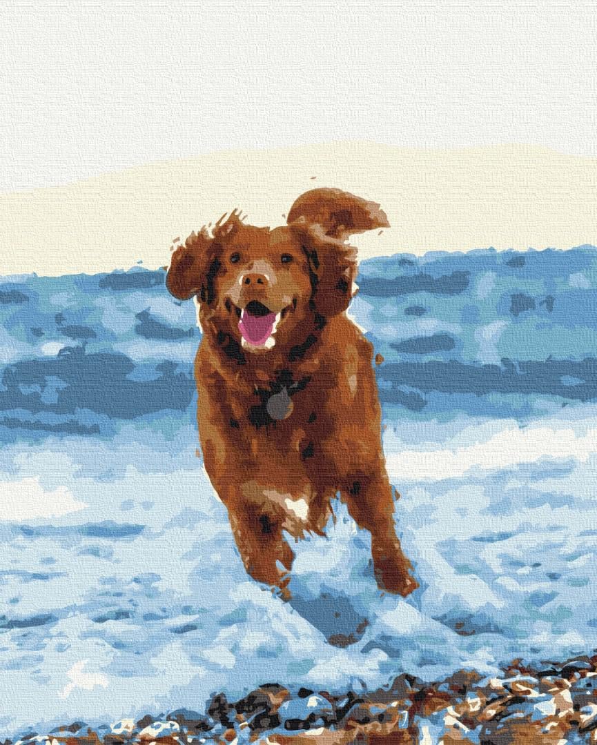 Картина по номерам Brushme Собачка в море 48x60 см (BS51436L)