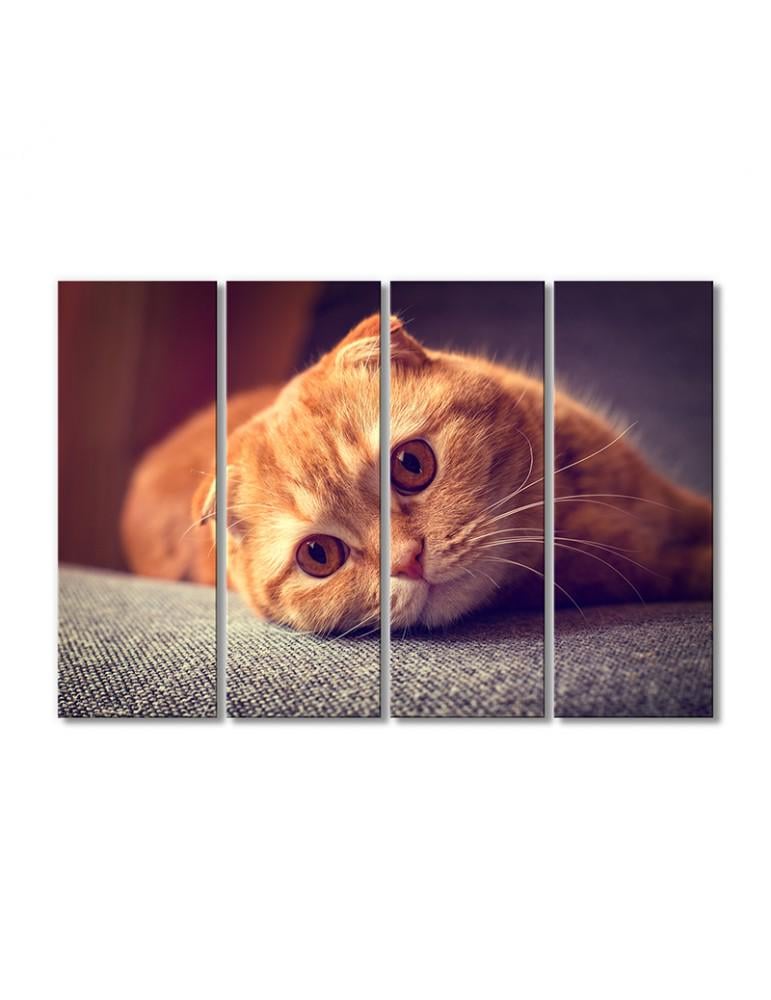 Картина модульная Рыжий котик скоттиш-фолд 4 модуля 70x105 см