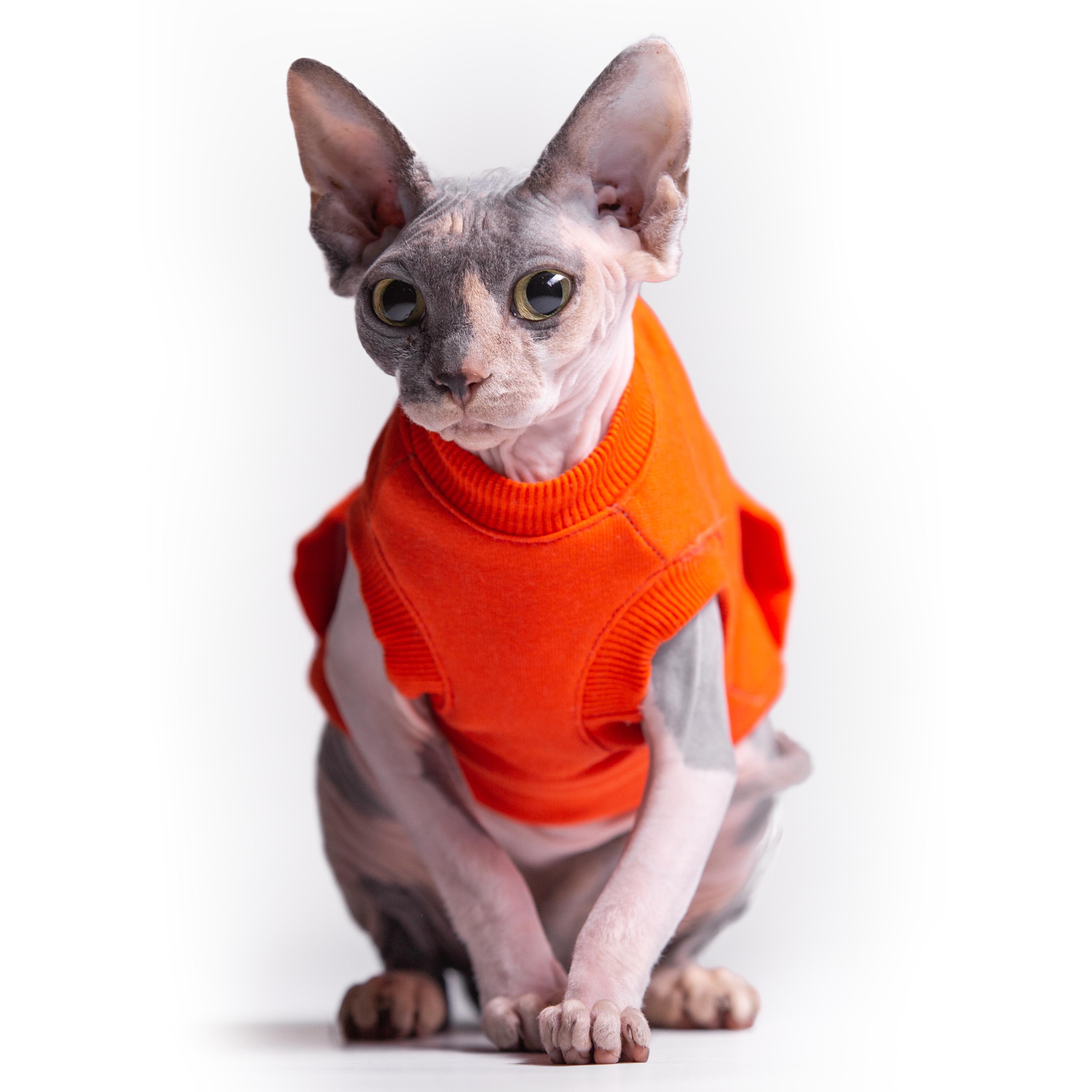 Майка спортивная для кошек Style Pets TVIXI XL Orange (475XL) - фото 6