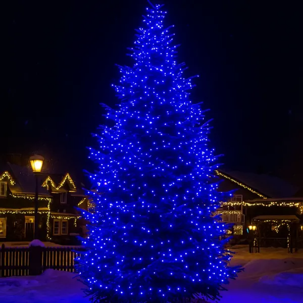 Гірлянда мережева новорічна нитка вулична Різдвяна фея 50 м 500 LED діодів IP 65 чорний дріт Синє світло (CF500L50MBBL) - фото 3 Гірлянда мережева новорічна нитка вулична Різдвяна фея 50 м 500 LED діодів IP 65 чорний дріт Синє світло (CF500L50MBBL) - фото 3