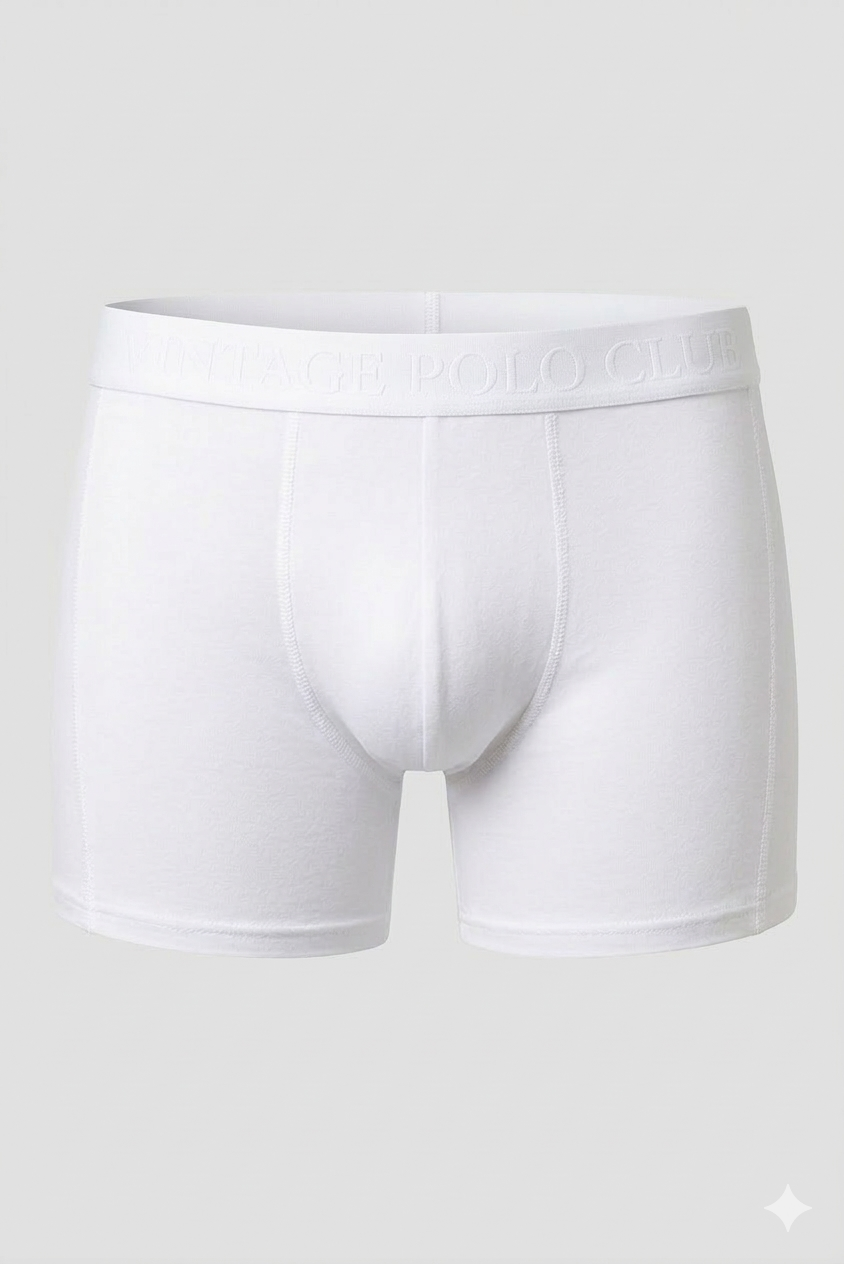 Трусы мужские боксеры Vintage Polo Club L Белый (645654654)