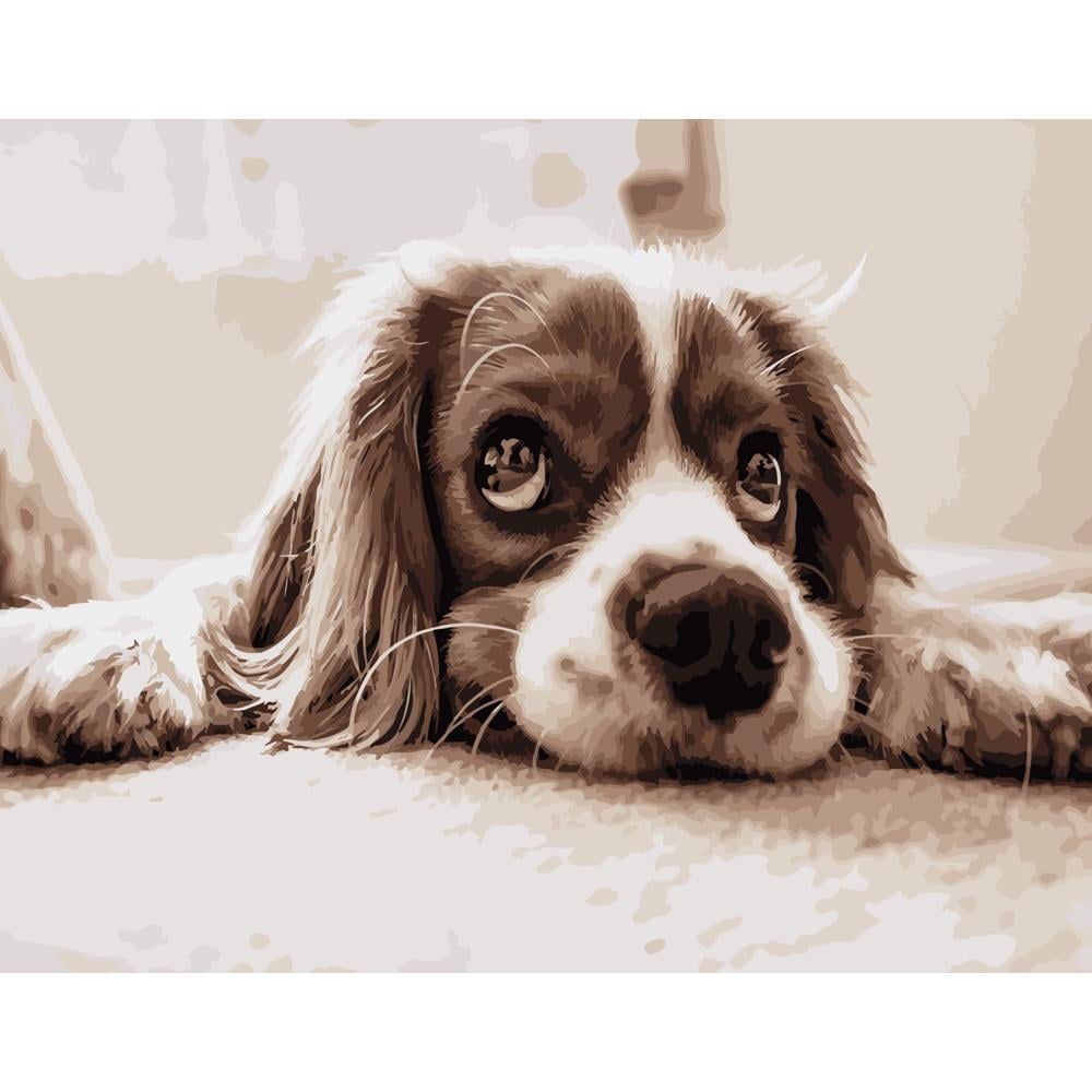 Картина по номерам Strateg Премиум Мечтательный спаниель 40х50 см (DY086)