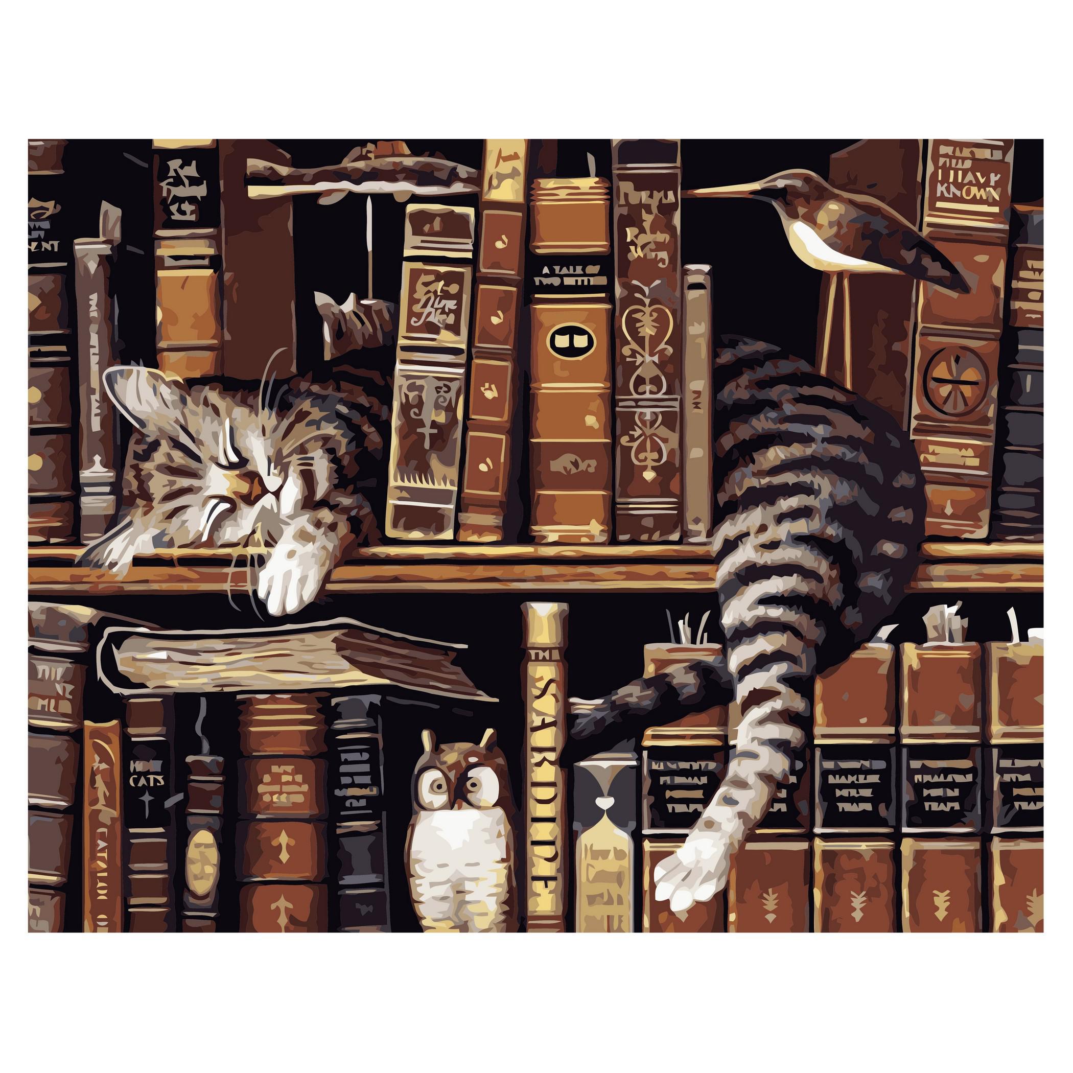 Картина по номерам Strateg Котик на полке с книгами 40x50 см (VA-1726)