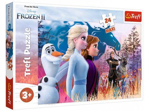 Пазлы Trefl Магия приключений 14298 (2000904074174) Пазлы Trefl Магия приключений 14298 (2000904074174)