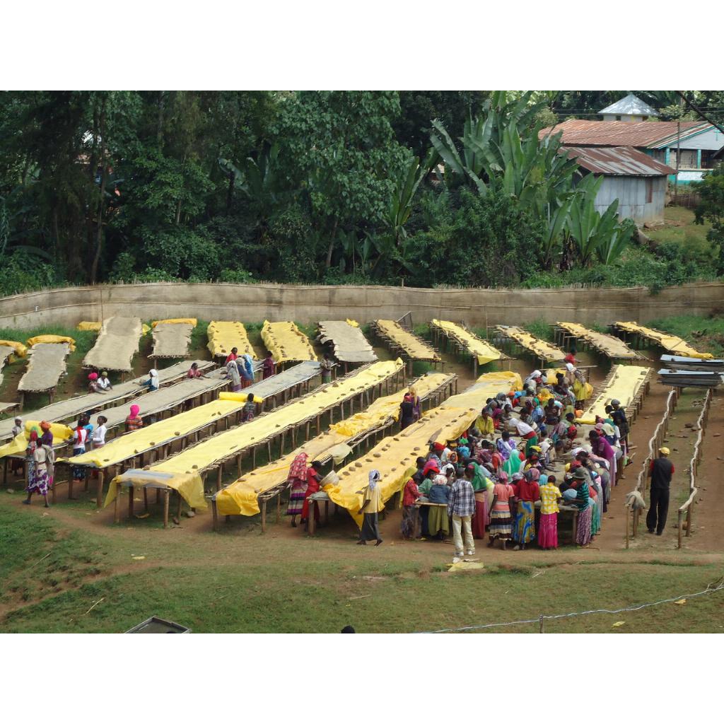 Кофе свежеобжаренный арабика costa-rica 500 г (168-65108) - фото 4 Кофе свежеобжаренный арабика costa-rica 500 г (168-65108) - фото 4
