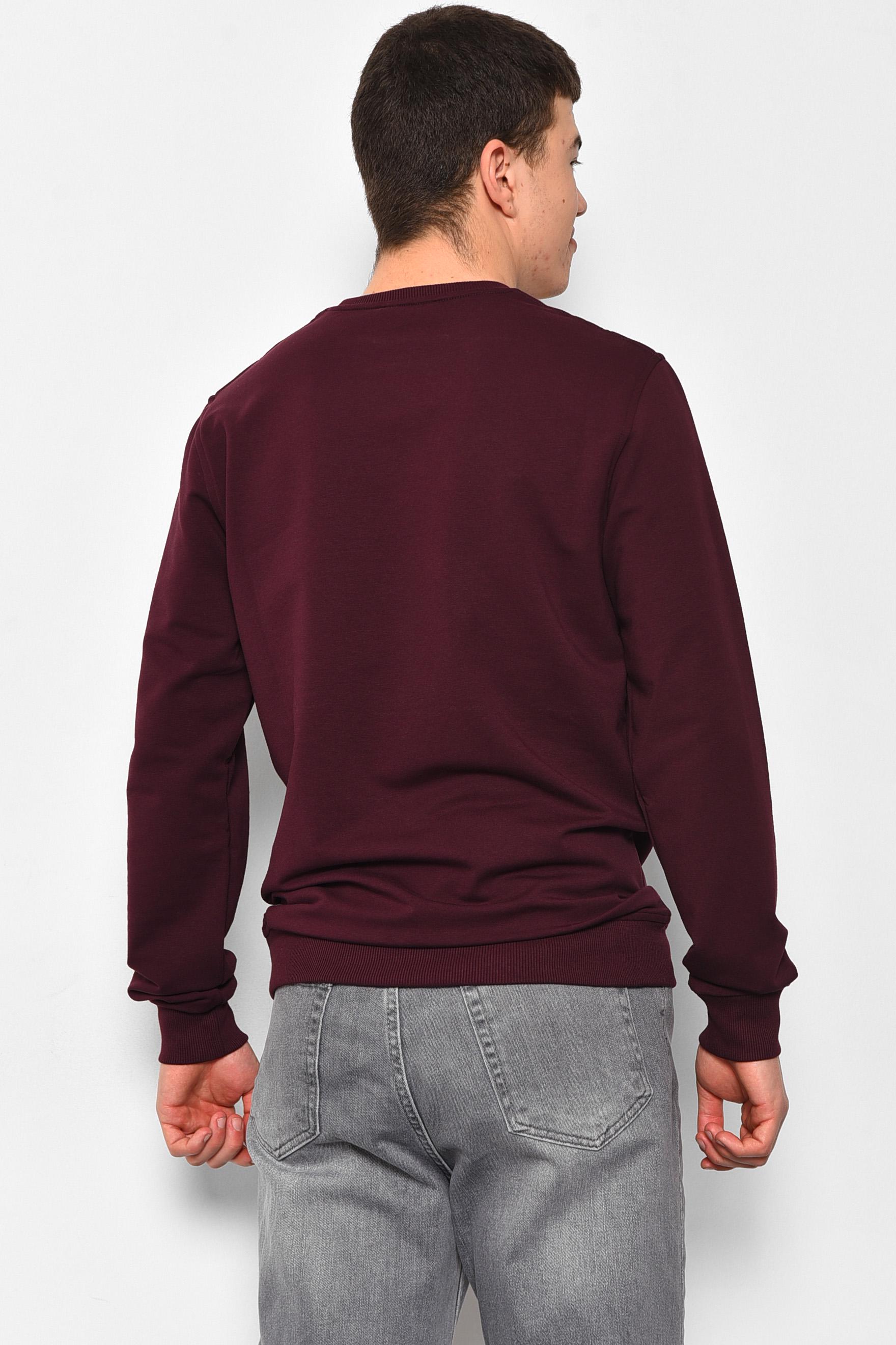 Свитшот мужской S с надписью Бордовый (175882) - фото 3