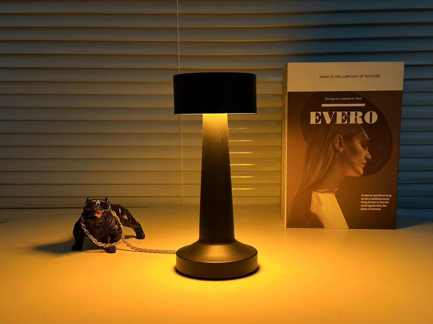 Лампа настольная светодиодная DOWN LIGHT R-SENSOR 2W Black - фото 6