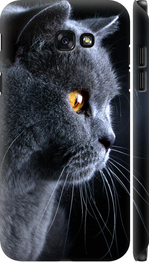 Чехол на Samsung Galaxy A7 (2017) Красивый кот (3038m-445-42517)