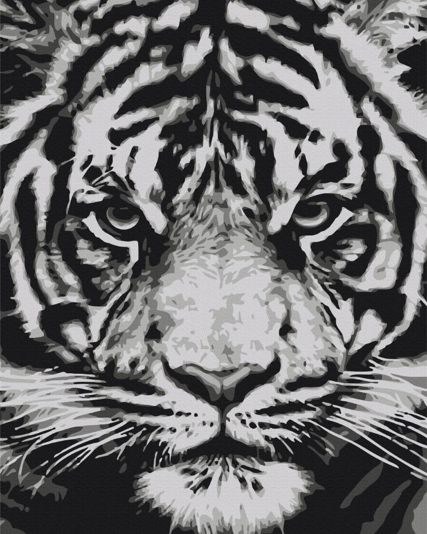 Картина по номерам Brushme Взгляд зверя 40х50 см