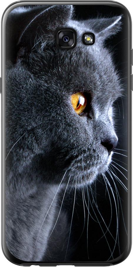 Чехол на Samsung Galaxy A7 (2017) Красивый кот (3038u-445-42517)