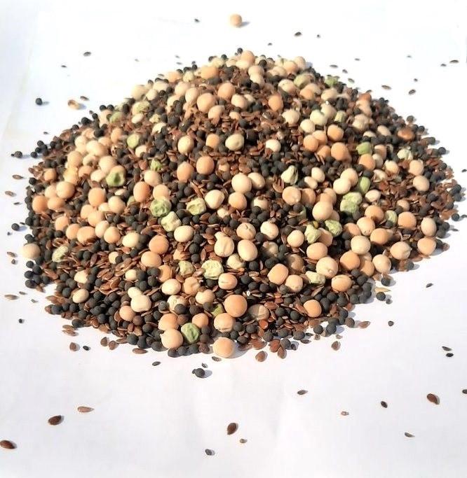 Суміш сидератів Насіння країни під капусту/редиску без вмісту хрестоцвітних 1 кг (244349833) - фото 2 Суміш сидератів Насіння країни під капусту/редиску без вмісту хрестоцвітних 1 кг (244349833) - фото 2