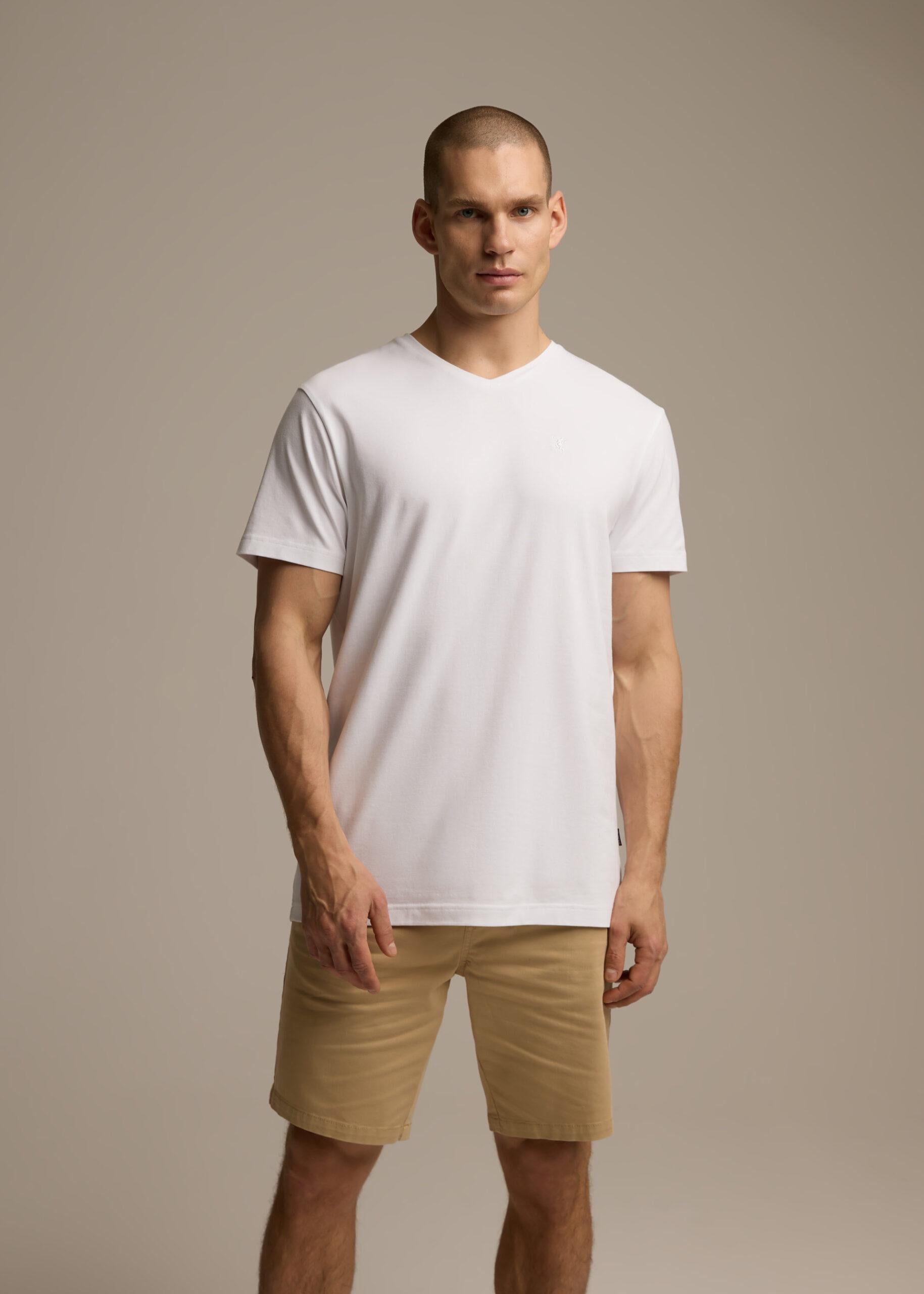 Футболка мужская Diverse V NECK 253 XL Белый (5905384137319)