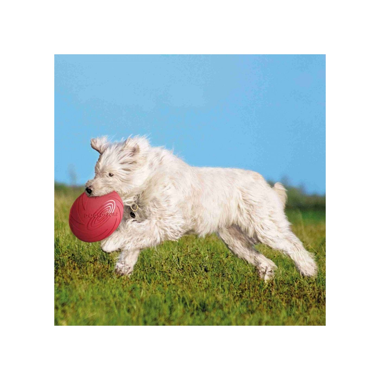 Игрушка для собак Trixie Летающая тарелка апортовая 24 см Красный (4011905335032_2)