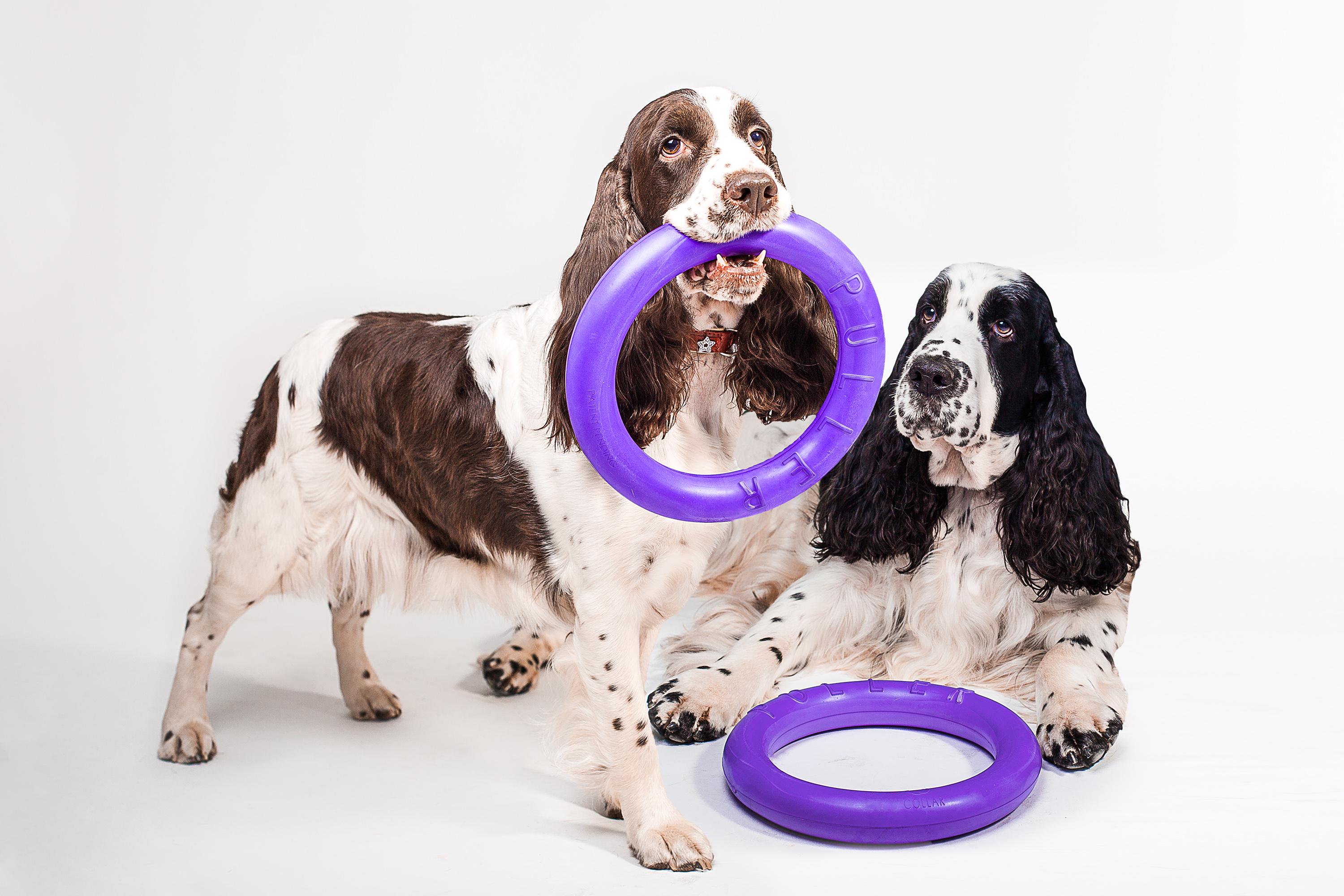 Игрушка для собак Puller Standard Тренировочный снаряд 28 см 2 шт. (6490) - фото 3 Игрушка для собак Puller Standard Тренировочный снаряд 28 см 2 шт. (6490) - фото 3