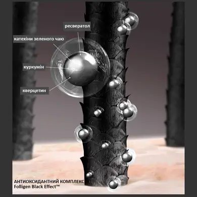 Шампунь для восстановления цвета седых волос Dr.FORHAIR Folligen Black 300 мл - фото 2
