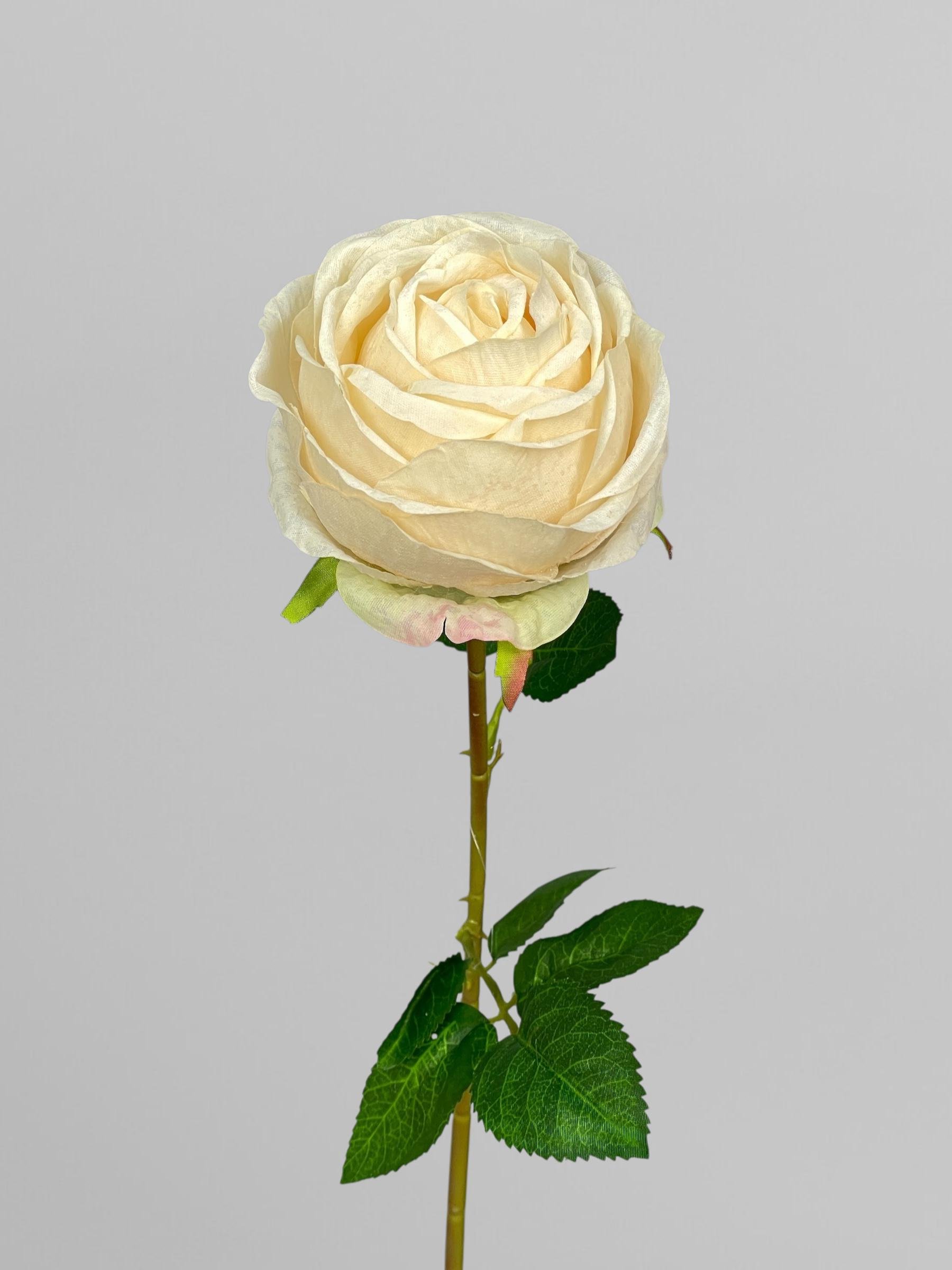 Искусственная роза сатиновая на стебле 59 см Айвори (К02134)