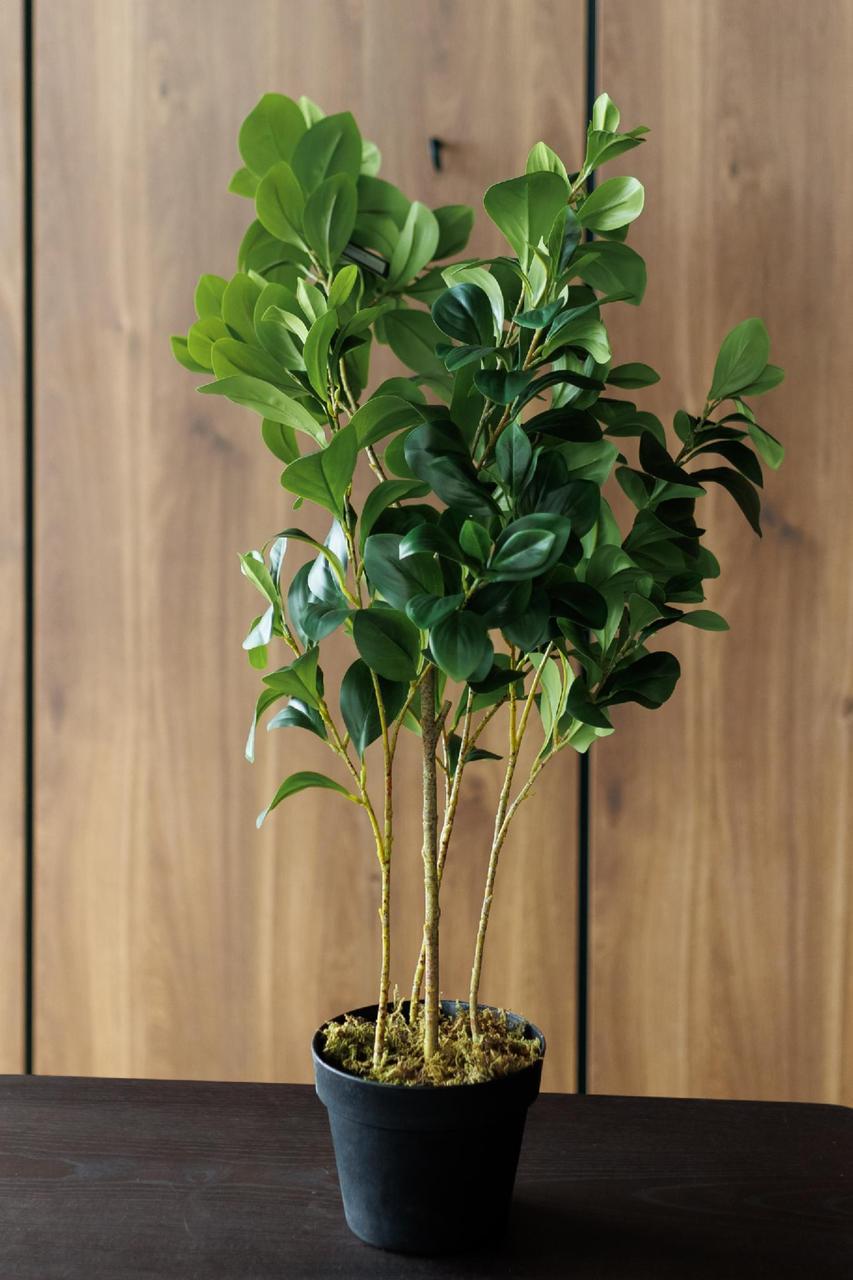 Искусственное растение Greenflowers Фикус Мокламе цветок тропическое растение для офиса сада дома 100 см