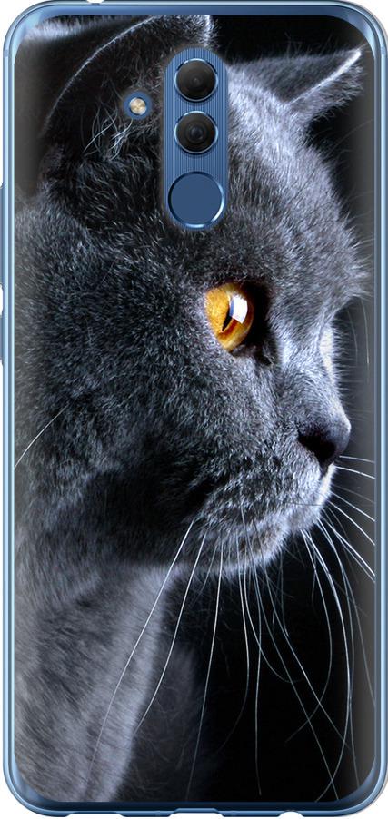 Чехол на Huawei Mate 20 Lite Красивый кот (3038u-1575-42517)