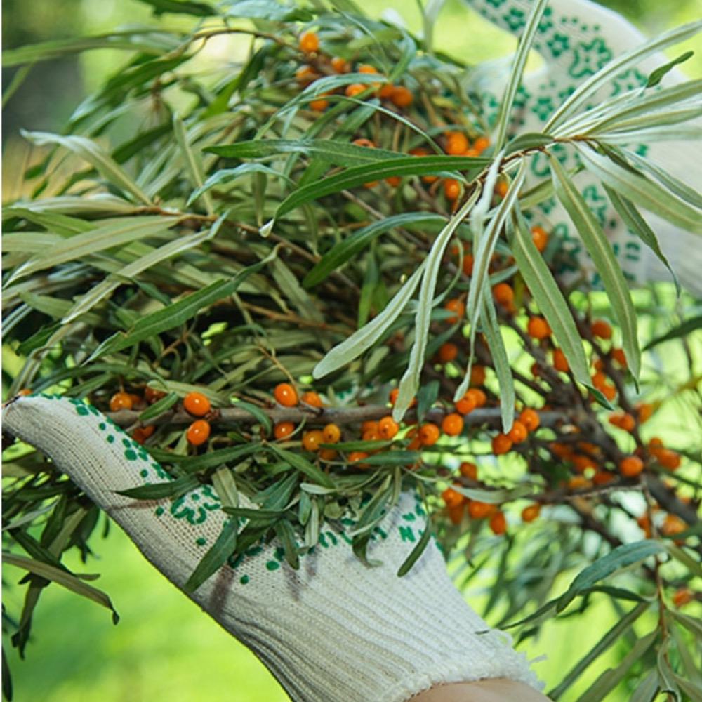 Перчатки рабочие BRS трикотажные хозяйственные из ПВХ садовые 10 шт. Белый - фото 4