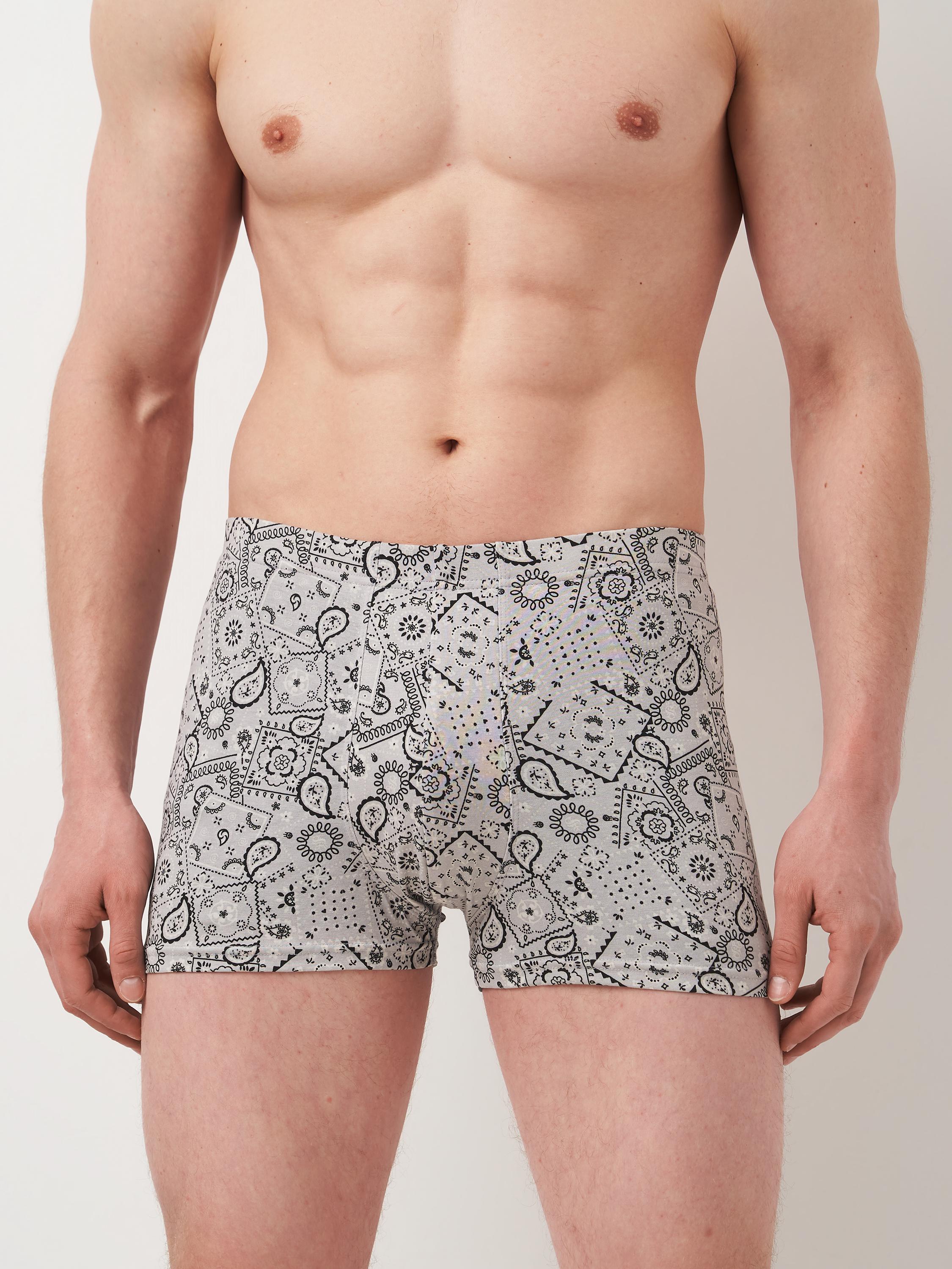 Трусы S Светло-серый (5643107wer)