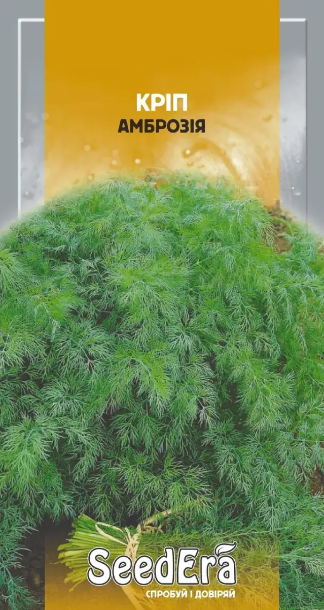 Насіння SeedEra кропу Амброзія SeedEra 20 г (1907)