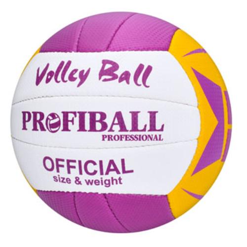 Волейбольный мяч 1191ABC Фиолетовый