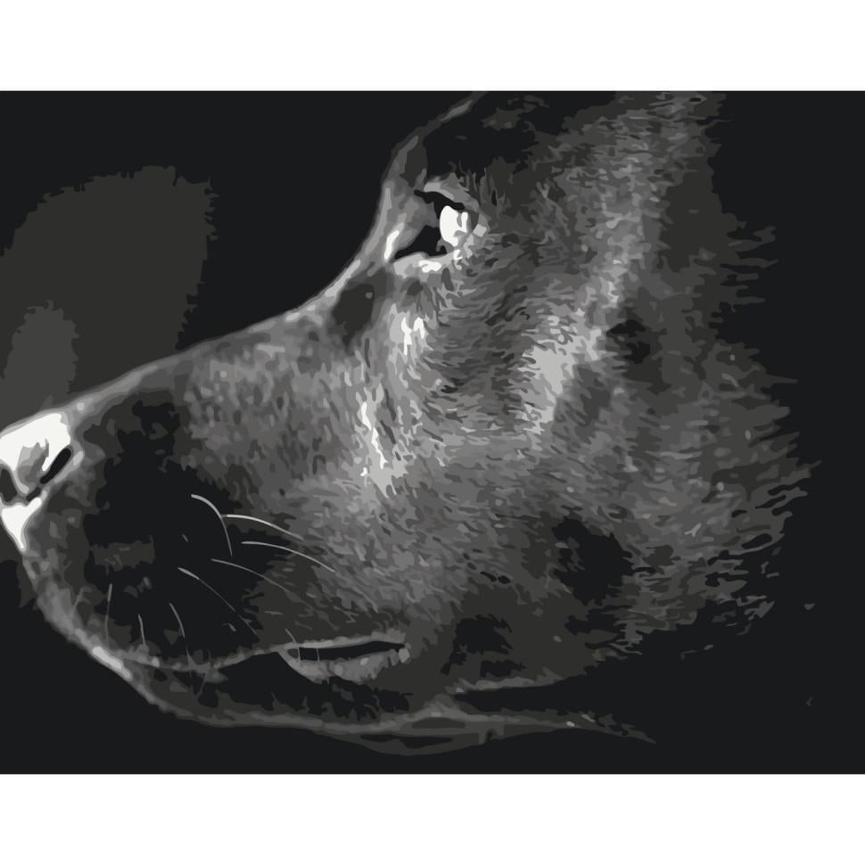 Картина по номерам Ideyka Взгляд верности 40x50 см Разноцветный (PM-194-K-667)