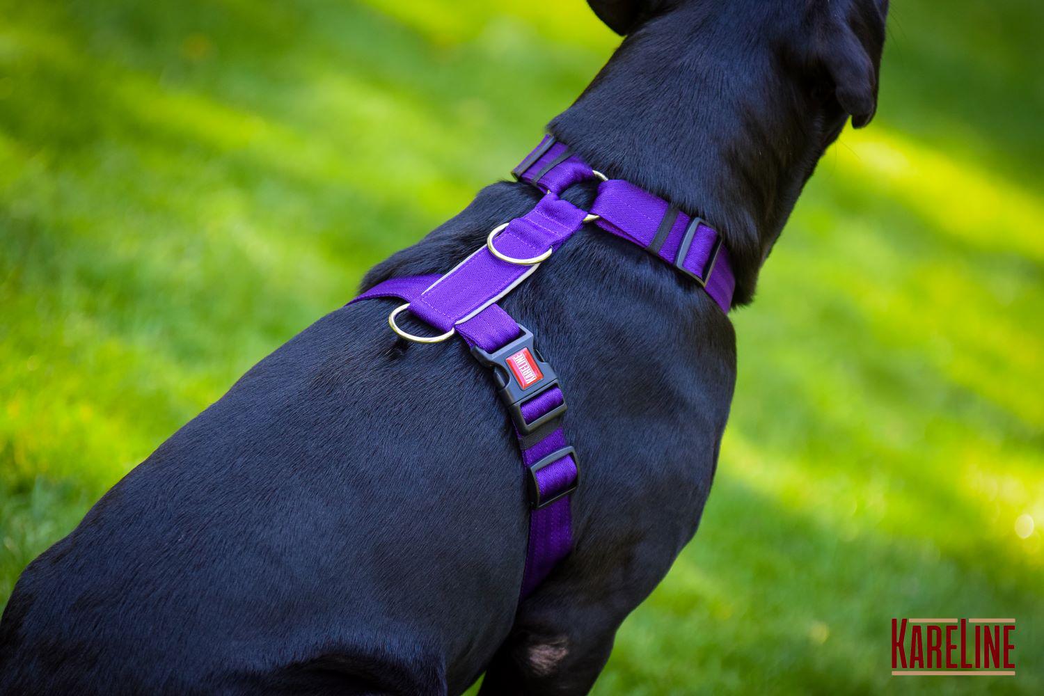 Шлея анатомическая KareLine из нейлона со светоотражающими элементами 25 мм А:340-540 мм В:470-690 мм Фиолетовый (0976/9) - фото 4 Шлея анатомическая KareLine из нейлона со светоотражающими элементами 25 мм А:340-540 мм В:470-690 мм Фиолетовый (0976/9) - фото 4