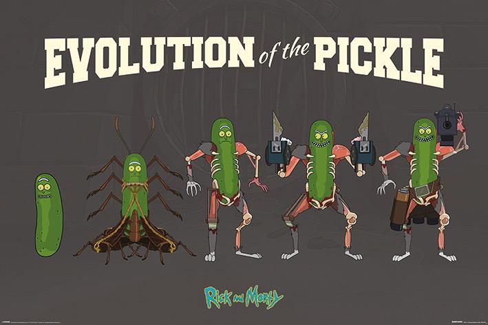 Постер плакат Рик и Морти/Rick and Morty Evolution Of The Pickle 61x91,5 см