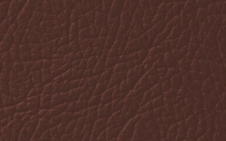 Емаль для фарбування шкіри Leather Expert Colourant 100 г 308 Espresso Brown
