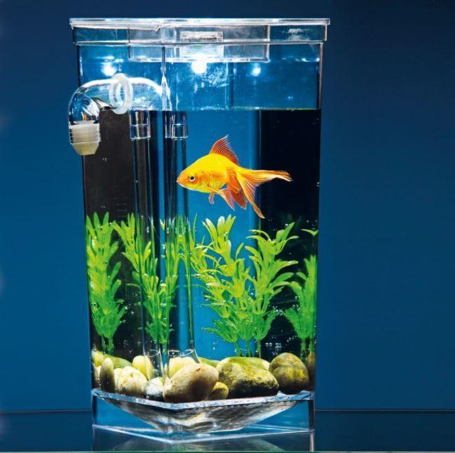 Аквариум для рыбок My Fun Fish самоочищающийся - фото 4 Аквариум для рыбок My Fun Fish самоочищающийся - фото 4