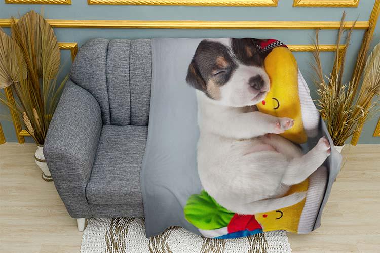 Плед Puppy Sweet dream плюш двухслойный 150х210 см (114034-3)