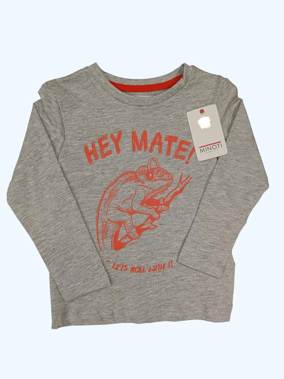 Лонгслів дитячий для хлопчика Minoti 122 см Сірий (0246)