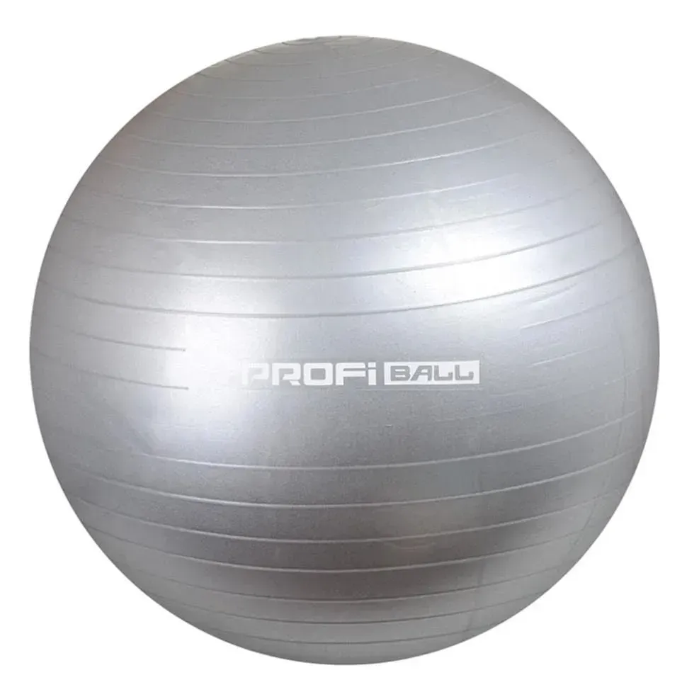 Фитбол антискользящий PROFIBALL M0275-1GRY 55 см Серый (151-98-M0275-1GRY)